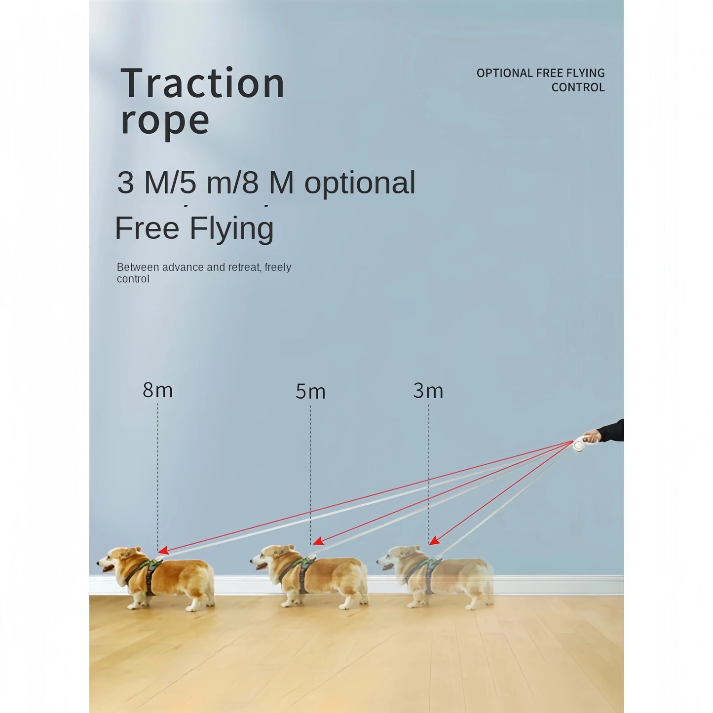 Pet Automatic Retractable Traction Nylon Leash