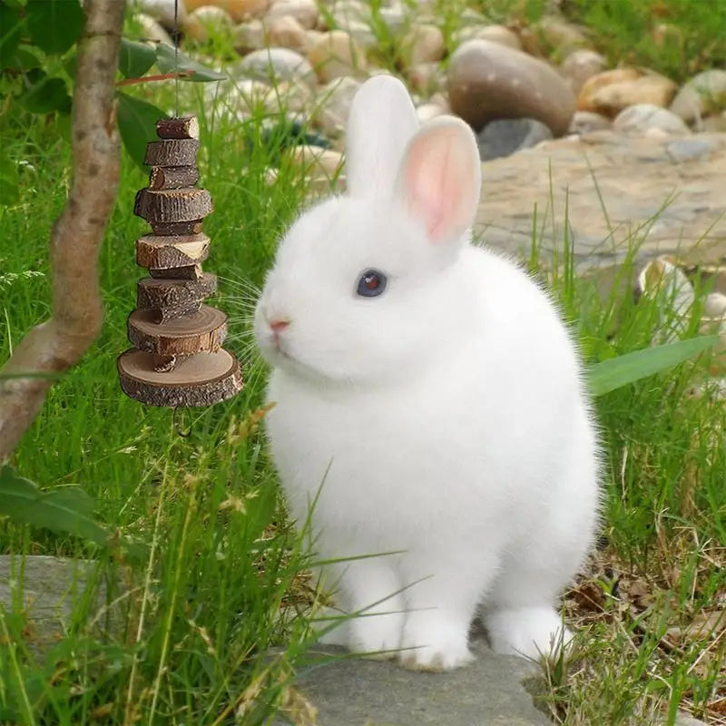 Bunny and Hamster Chew Toys