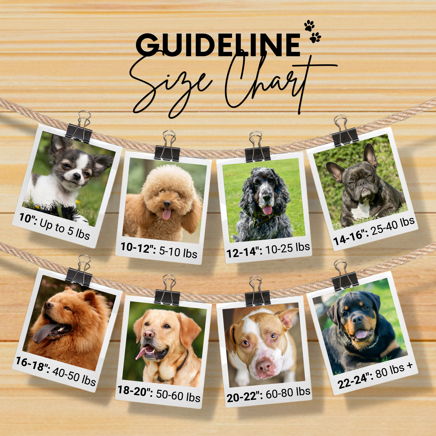 Biarritz Sambboho dog collar