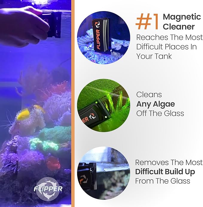 Flipper Standard Stainless Steel Replacement Blades 2 Pack