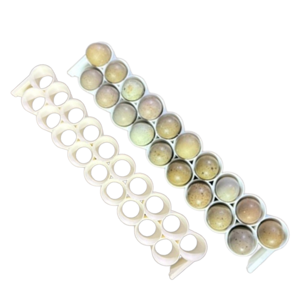 Standard & Button Quail Egg Rails for Cimuka®/Hatching Time® Incubators (CT-Series)