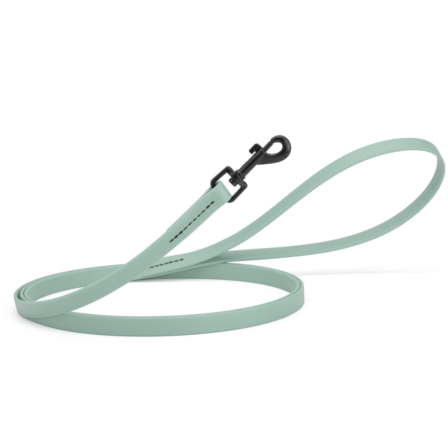 Biothane Waterproof Dog Leash 6 ft