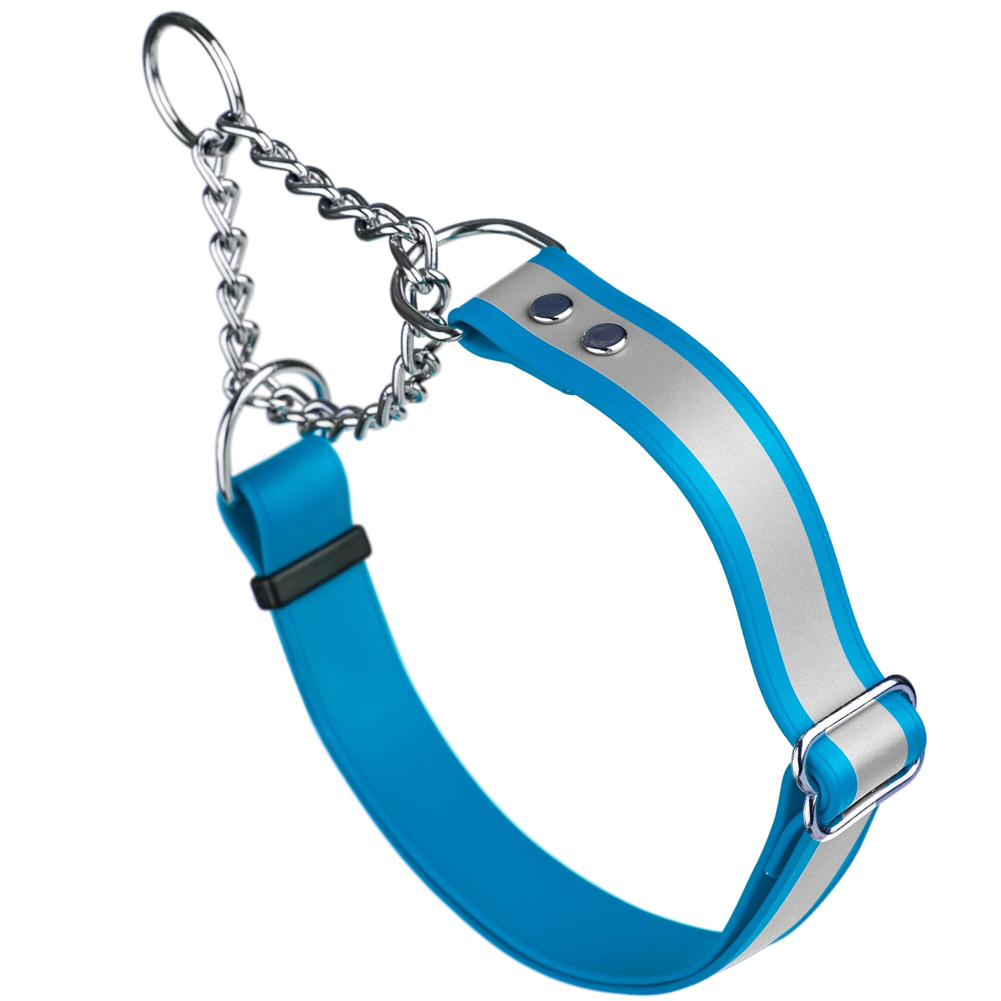 Reflective Biothane Martingale Collar for Dogs
