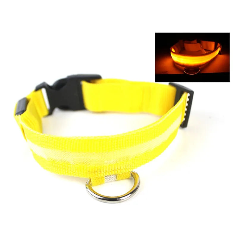 Nylon LED Pet Dog Collar USB Charging