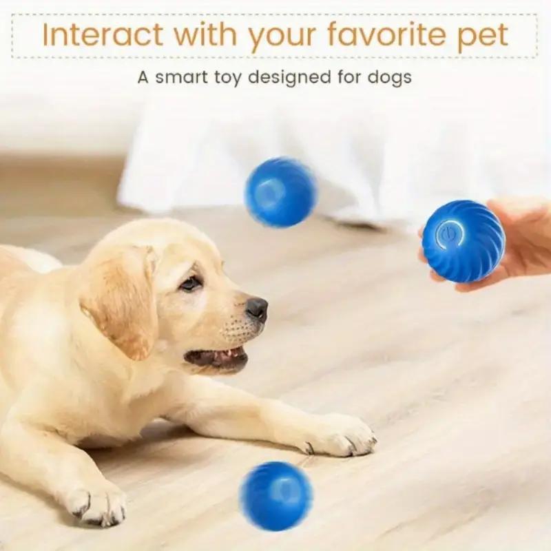 Bouncing Ball for dogs and cats