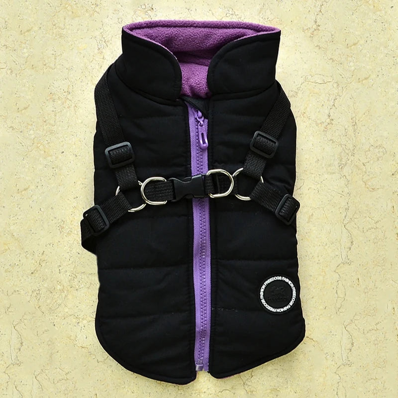 Winter Pet Jacket With Buckle