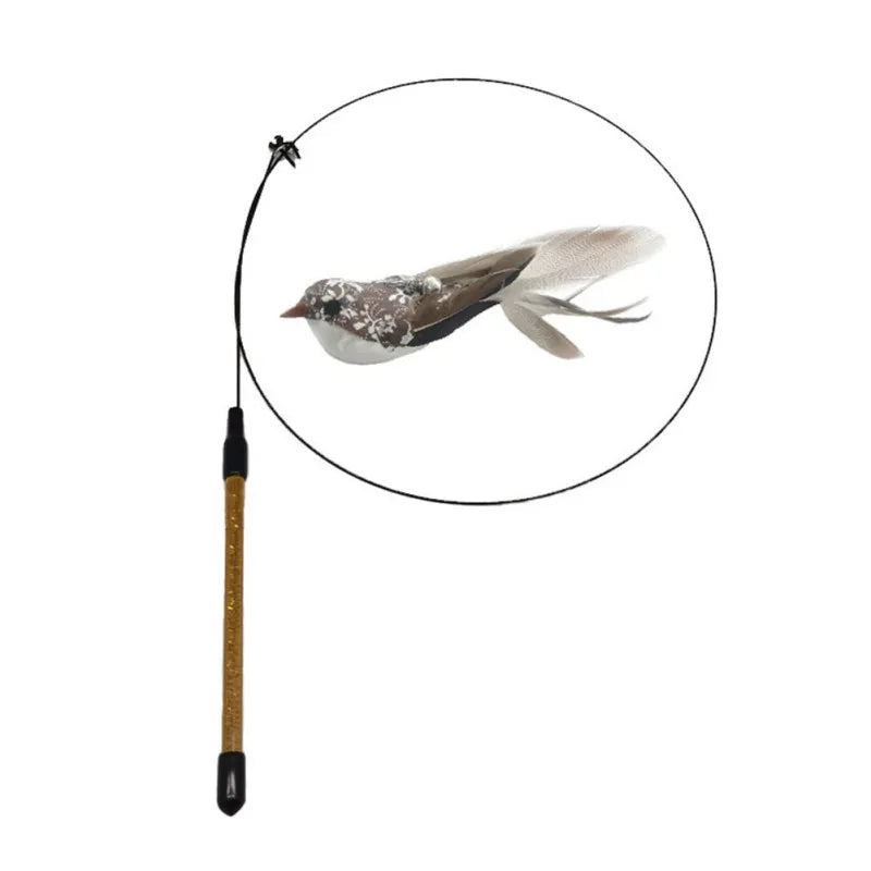 Interactive Cat Toy Feather Bird with Multiple Options