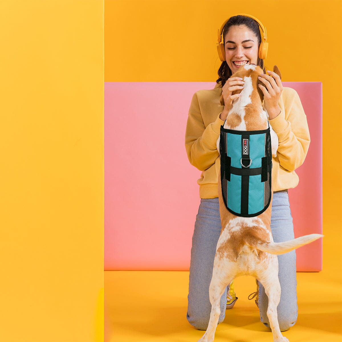 MaxAire Mesh Dog Vest Harness