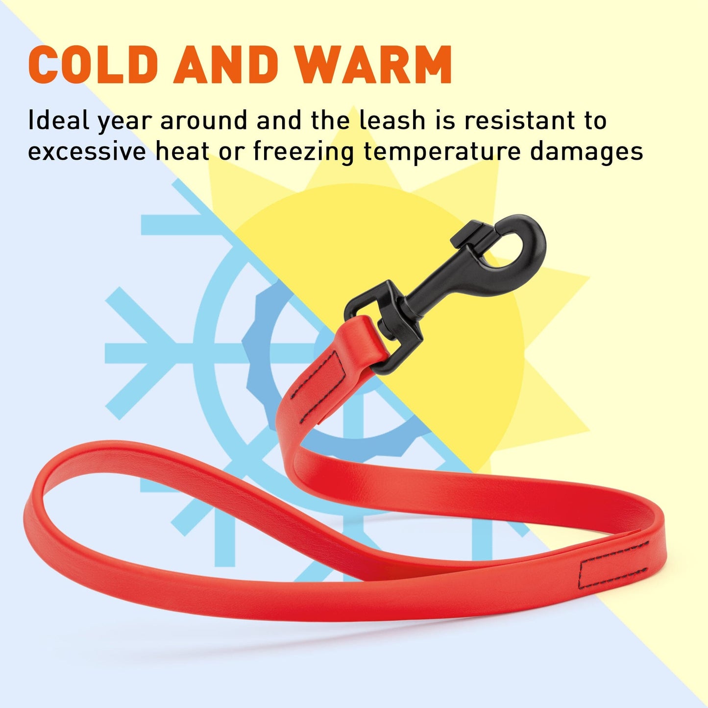 Biothane Waterproof Traffic Lead for Dogs, 2 ft