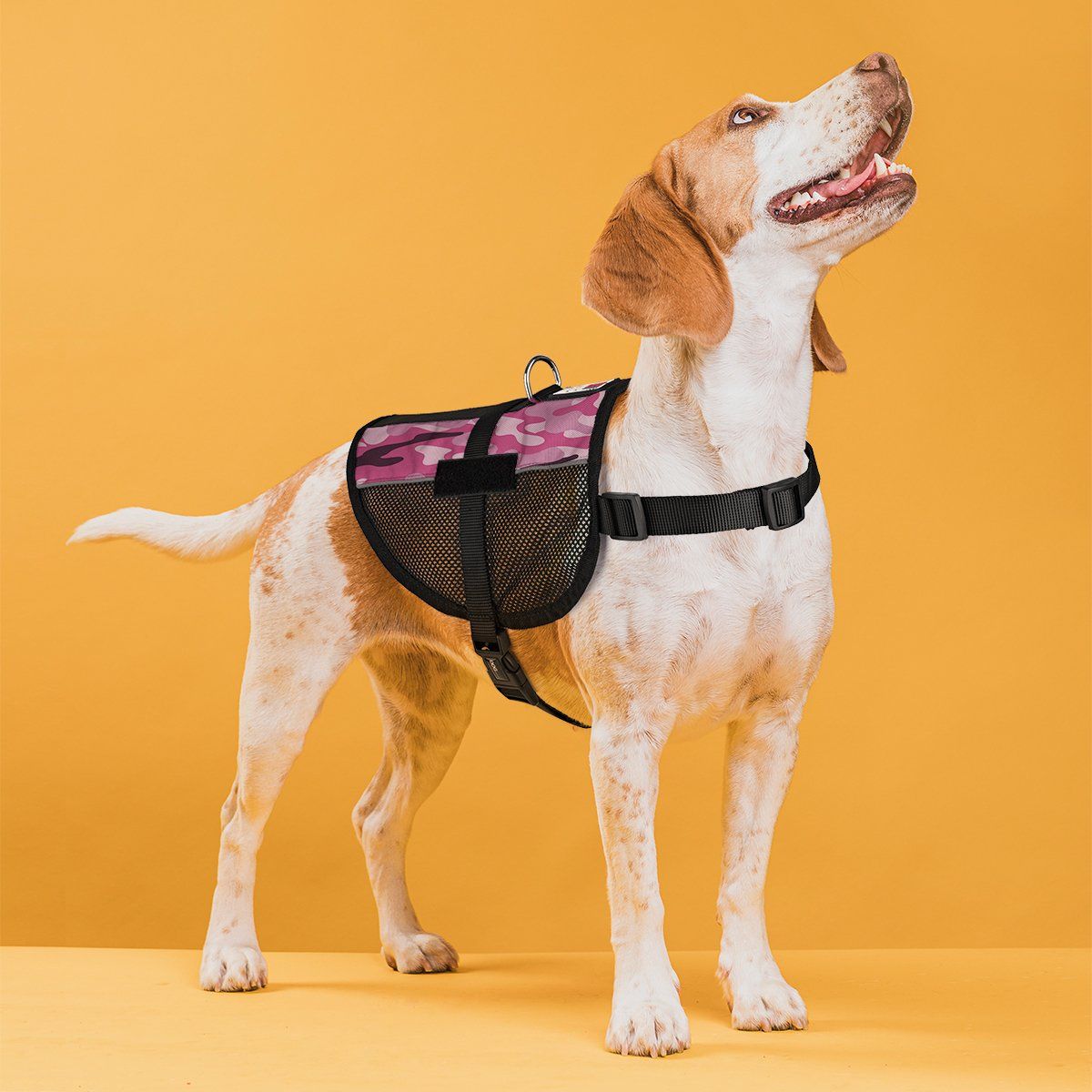 MaxAire Mesh Dog Vest Harness
