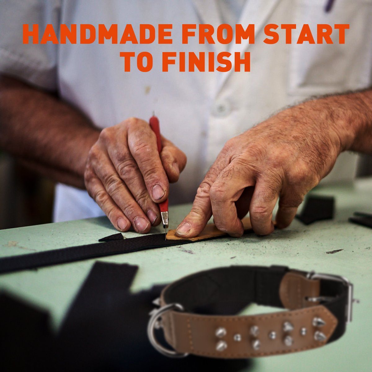 Leather + Nylon Spiked Dog Collar