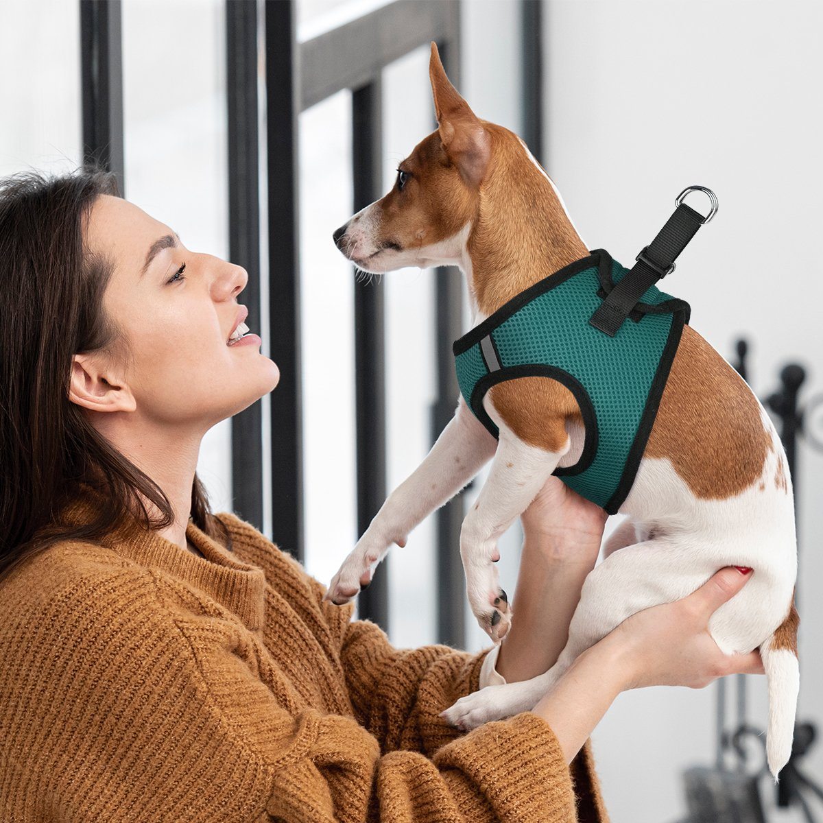 York Mesh Dog Harness