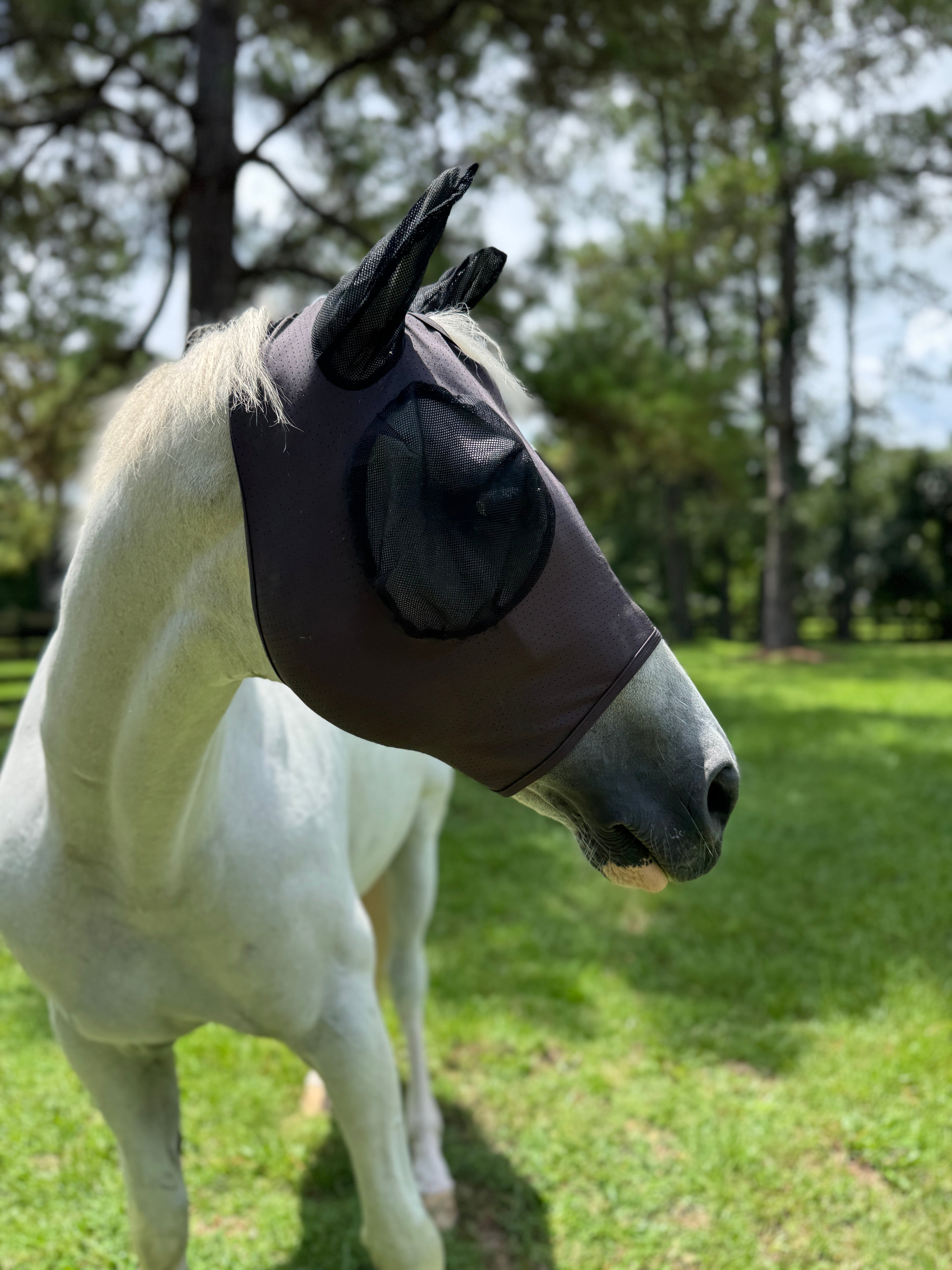 PRO4MANCE | Com4rt Stretch Breathable Fly Mask