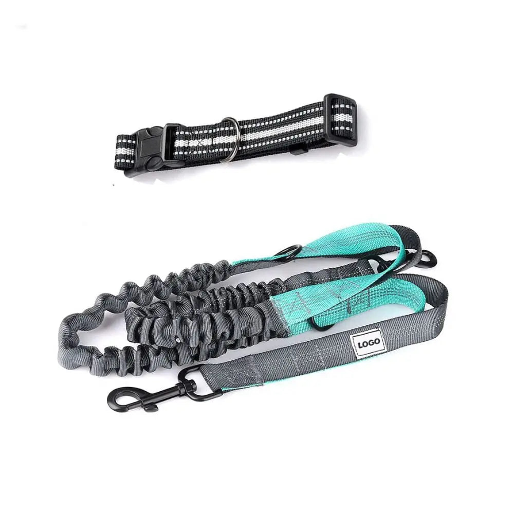 Portable Retractable Dog Walking Bag