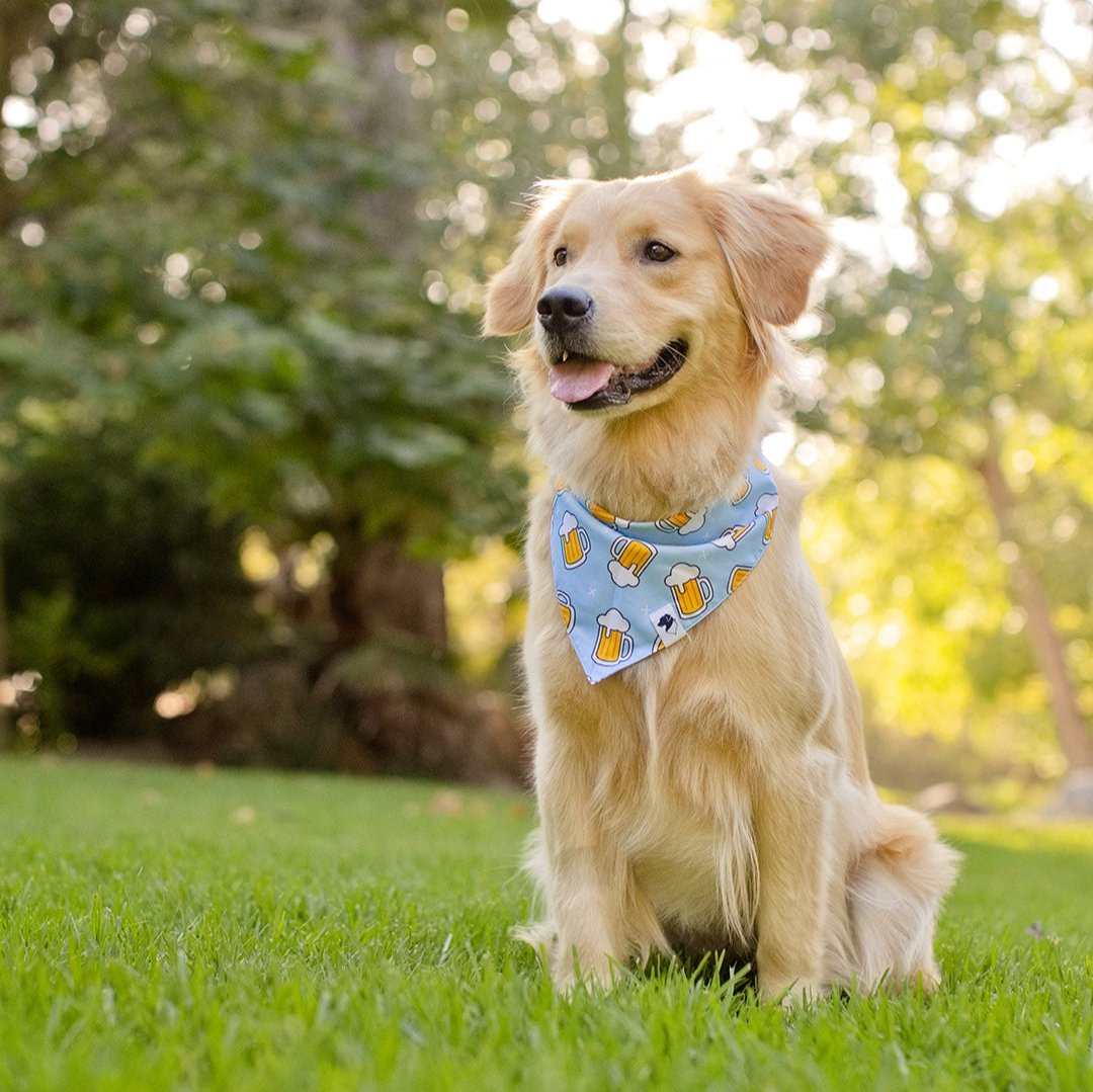 Cheers and Beers Dog Bandana