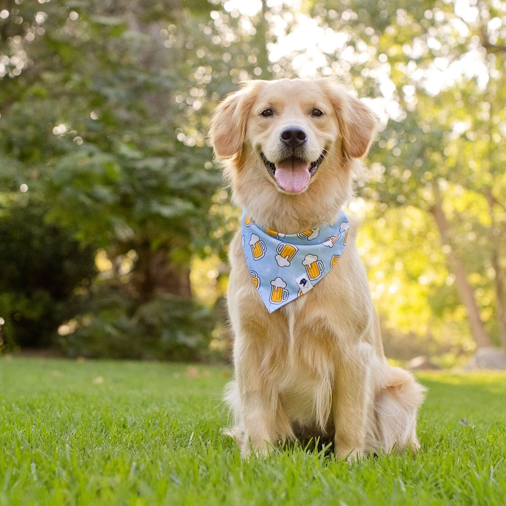 Cheers and Beers Dog Bandana