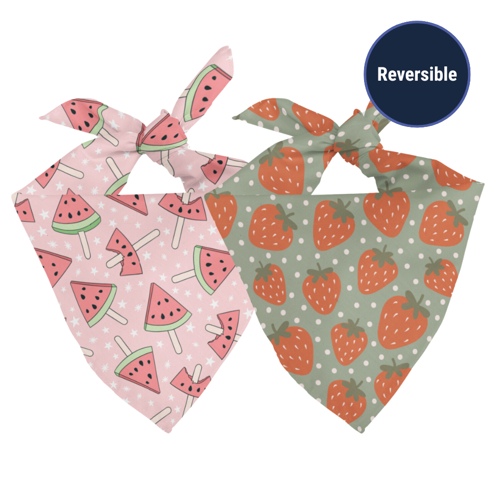Watermelon & Strawberry Dog Bandana