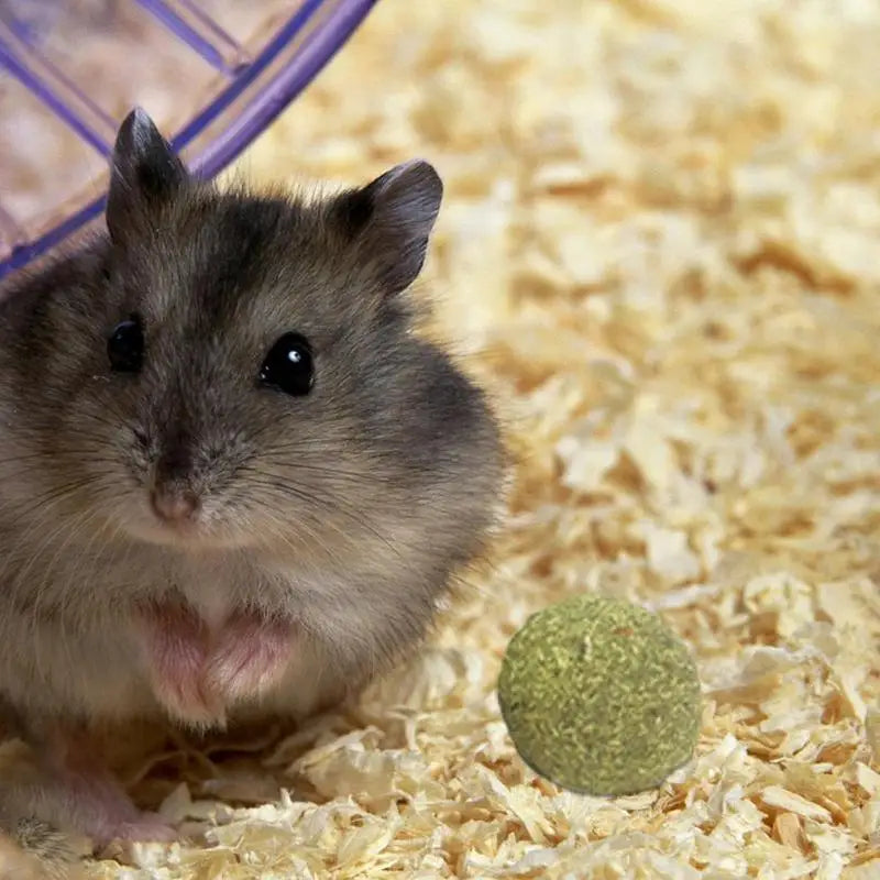 Bunny and Hamster Chew Toys