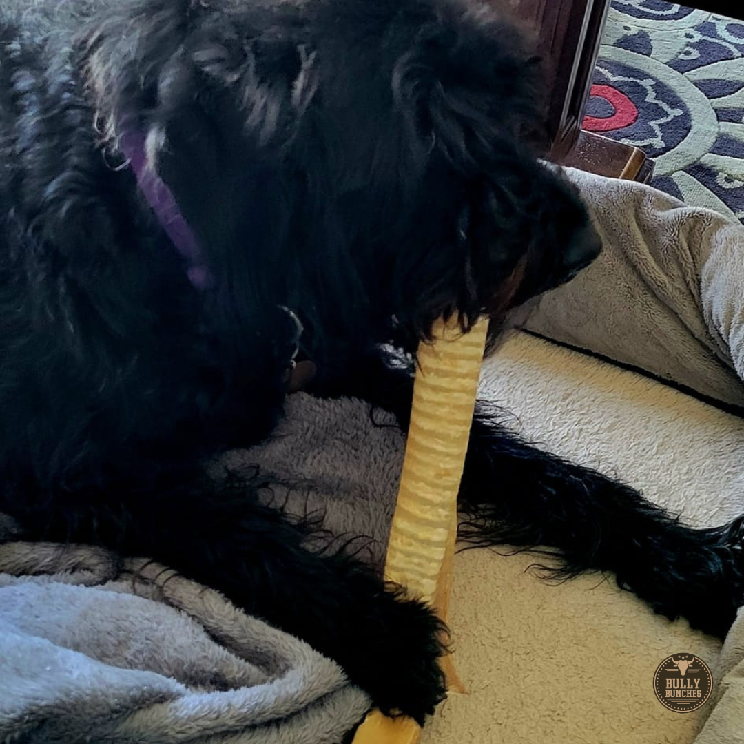 12 Inch Beef Trachea