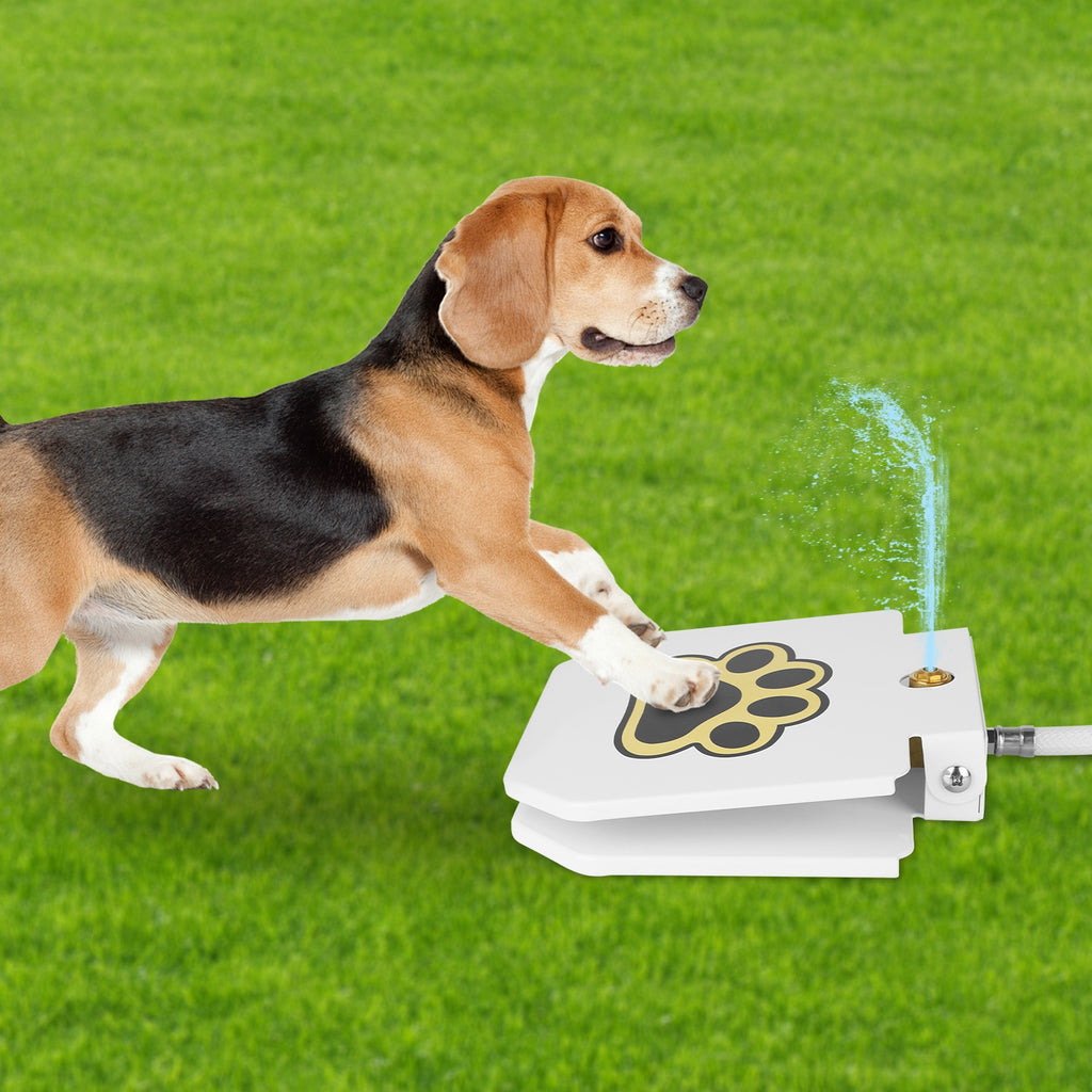 Dog Water Fountain Outdoor Step on Activated Sprinkler