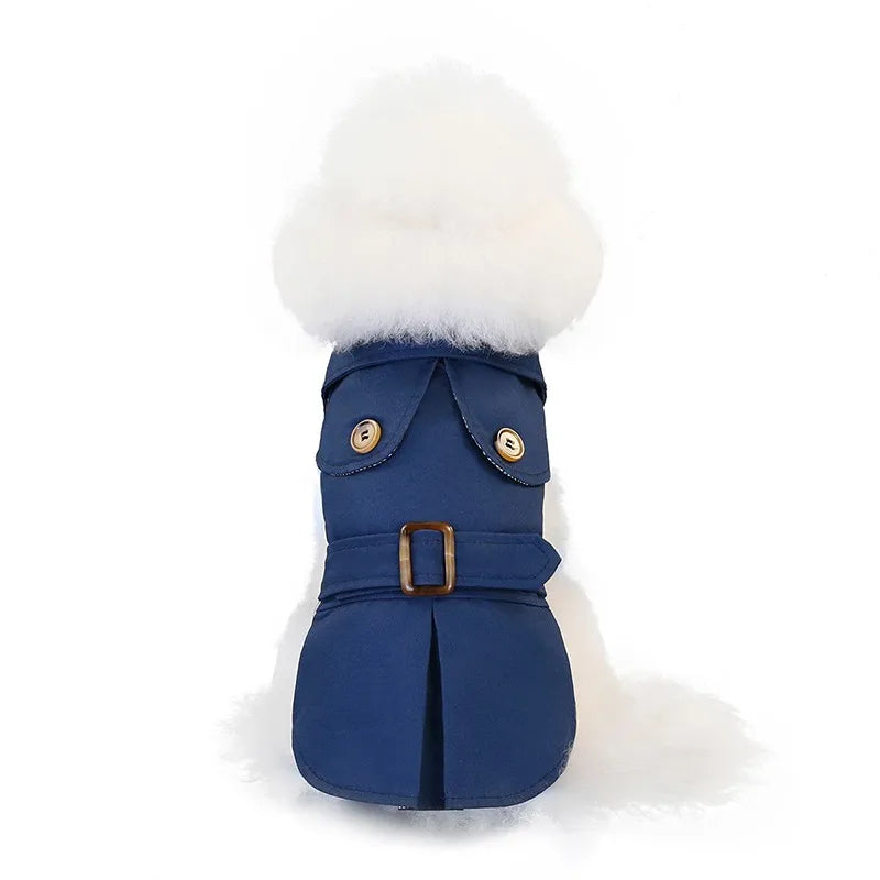 British Style Pet Clothes
