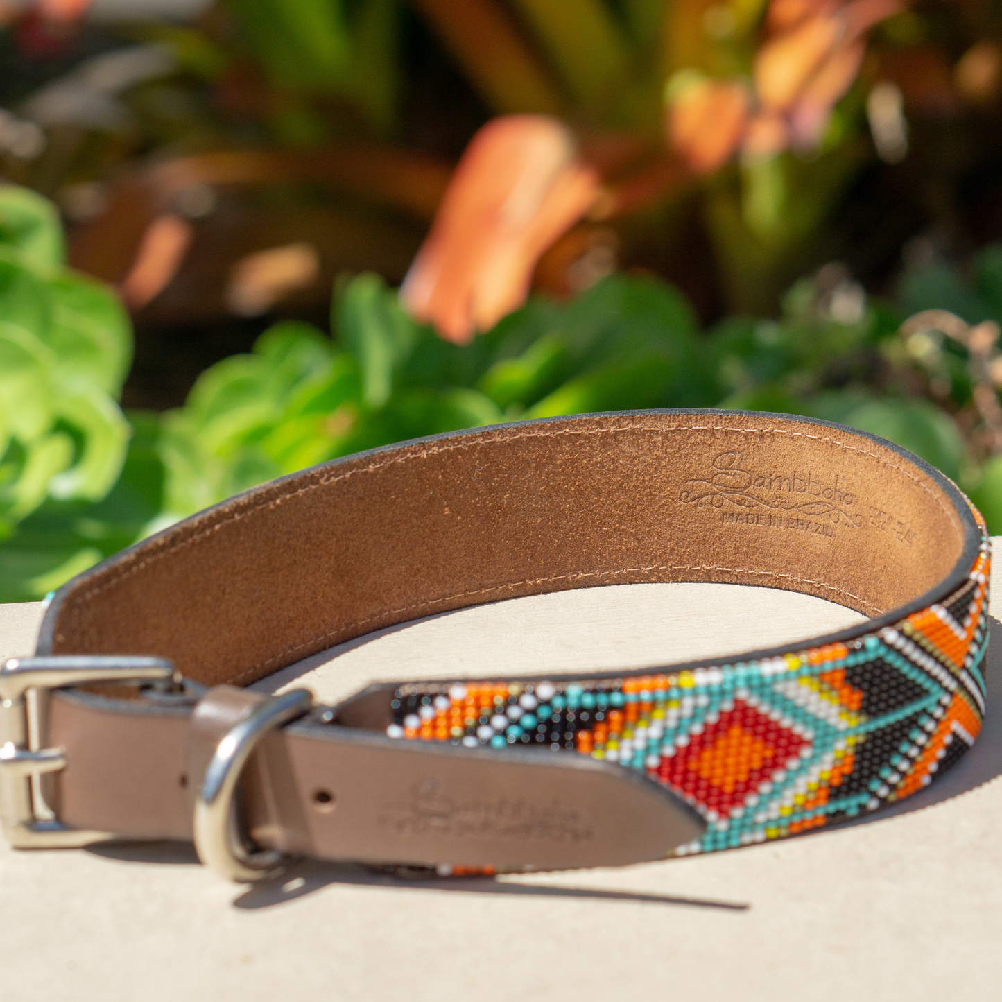 Biarritz Sambboho dog collar