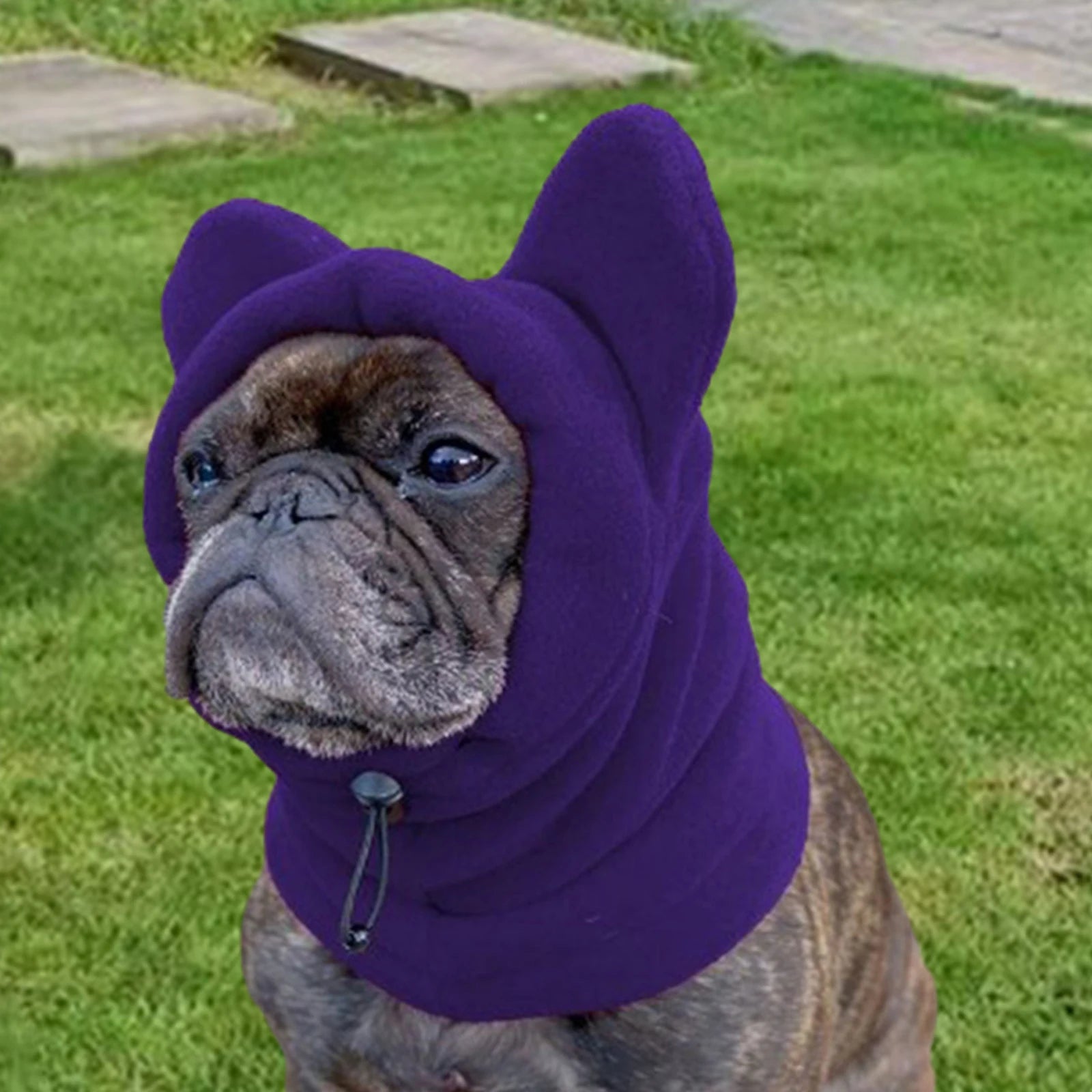 Winter Pet Hat Fleece And Adjustable