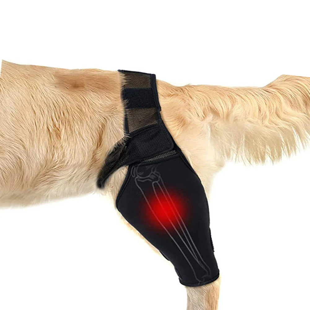 Universal Hip And Knee Brace And Protector For Dogs