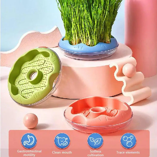 Hydroponic Cat Grass Planter And Growing Tray