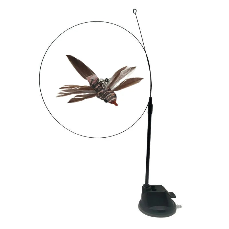 Interactive Cat Toy Feather Bird with Multiple Options
