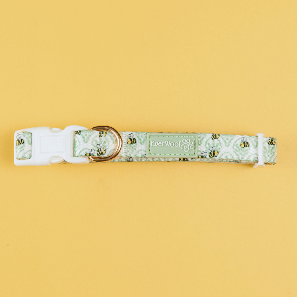 Little Honey Collar