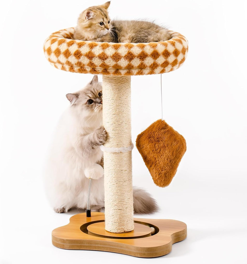 Cat Scratching Post with Bed, Sisal Scratcher