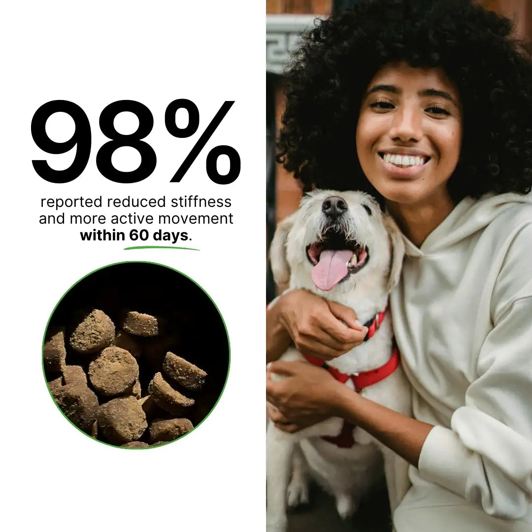 Hip & Joint With Hemp For Dogs 9oz Jar (120 count)