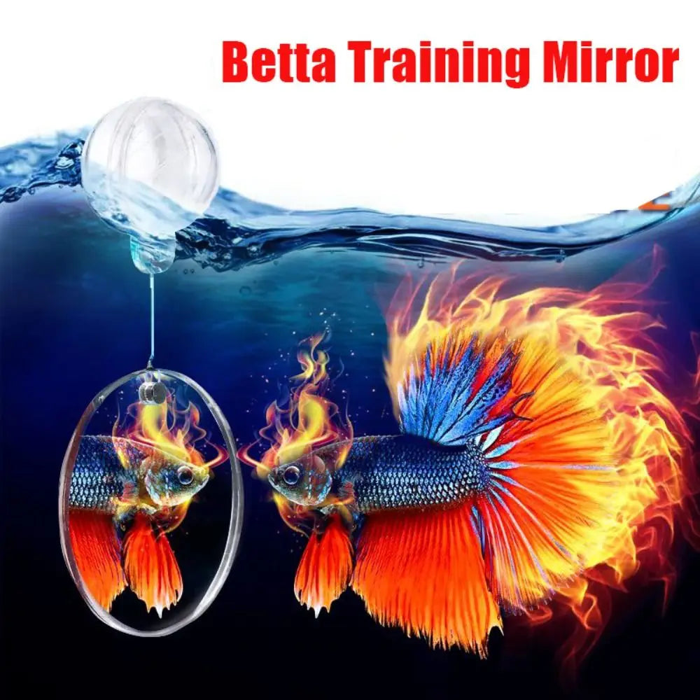Betta Training Mirror Fish Tank Ornament