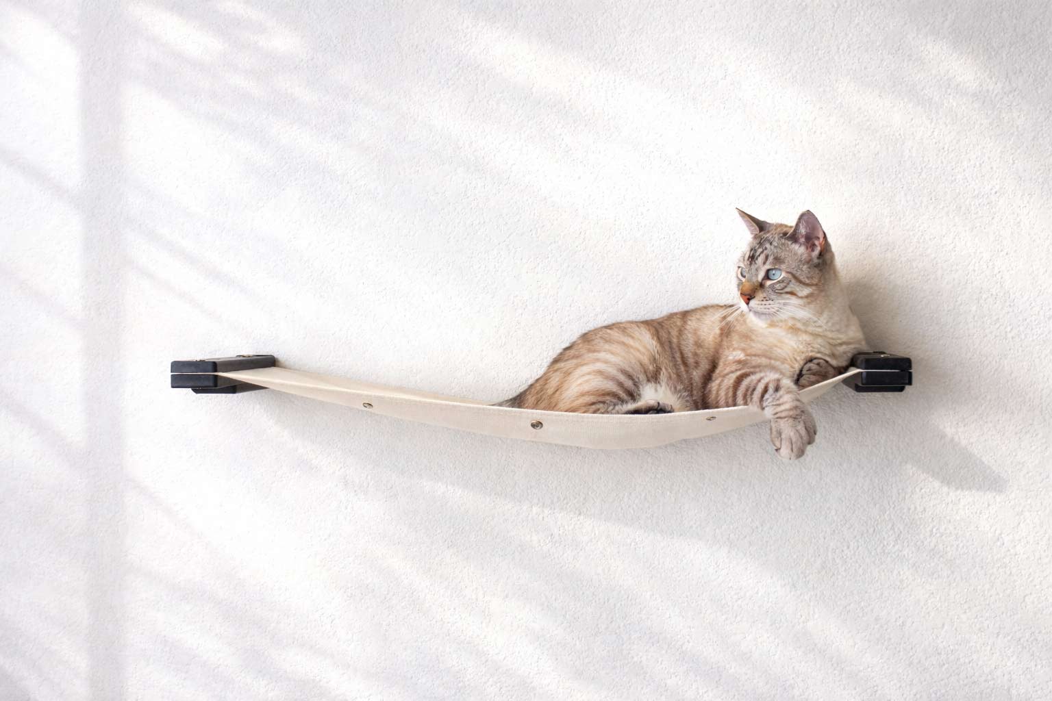 Hanging Cat Bed Hammock