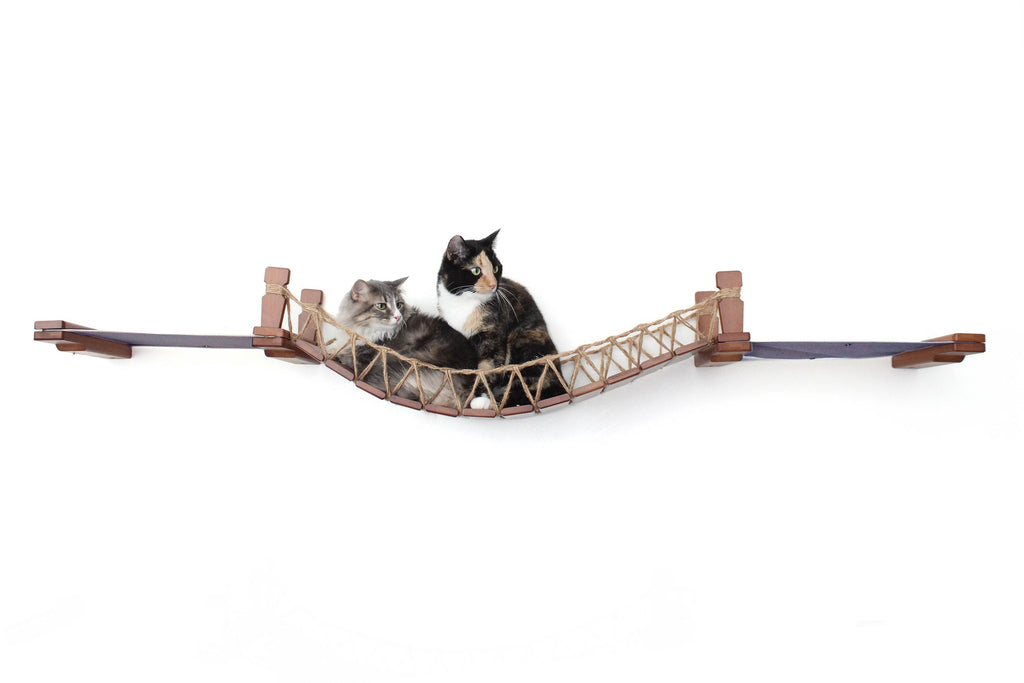 Double Cat Hammock and Climbing Bridge Combo