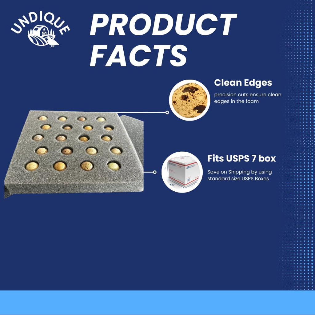 Button Quail Egg Foam Shipper 20 Hole Sets - Safe Egg Transport for Button Quail Eggs 10 Count