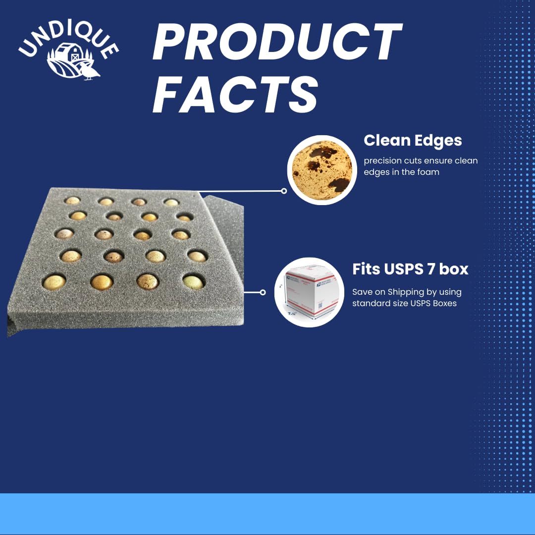 Button Quail Egg Foam Shipper 20 Hole Sets - Safe Egg Transport for Button Quail Eggs 10 Count