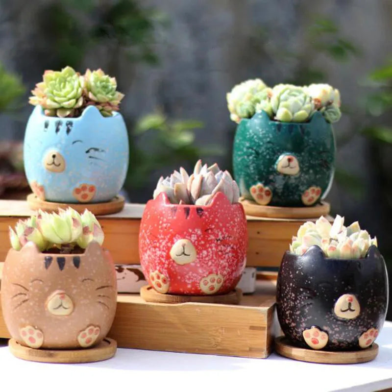 Cartoon Succulent Plant Pot Cat Animal Flowerpot4Pcs/Set