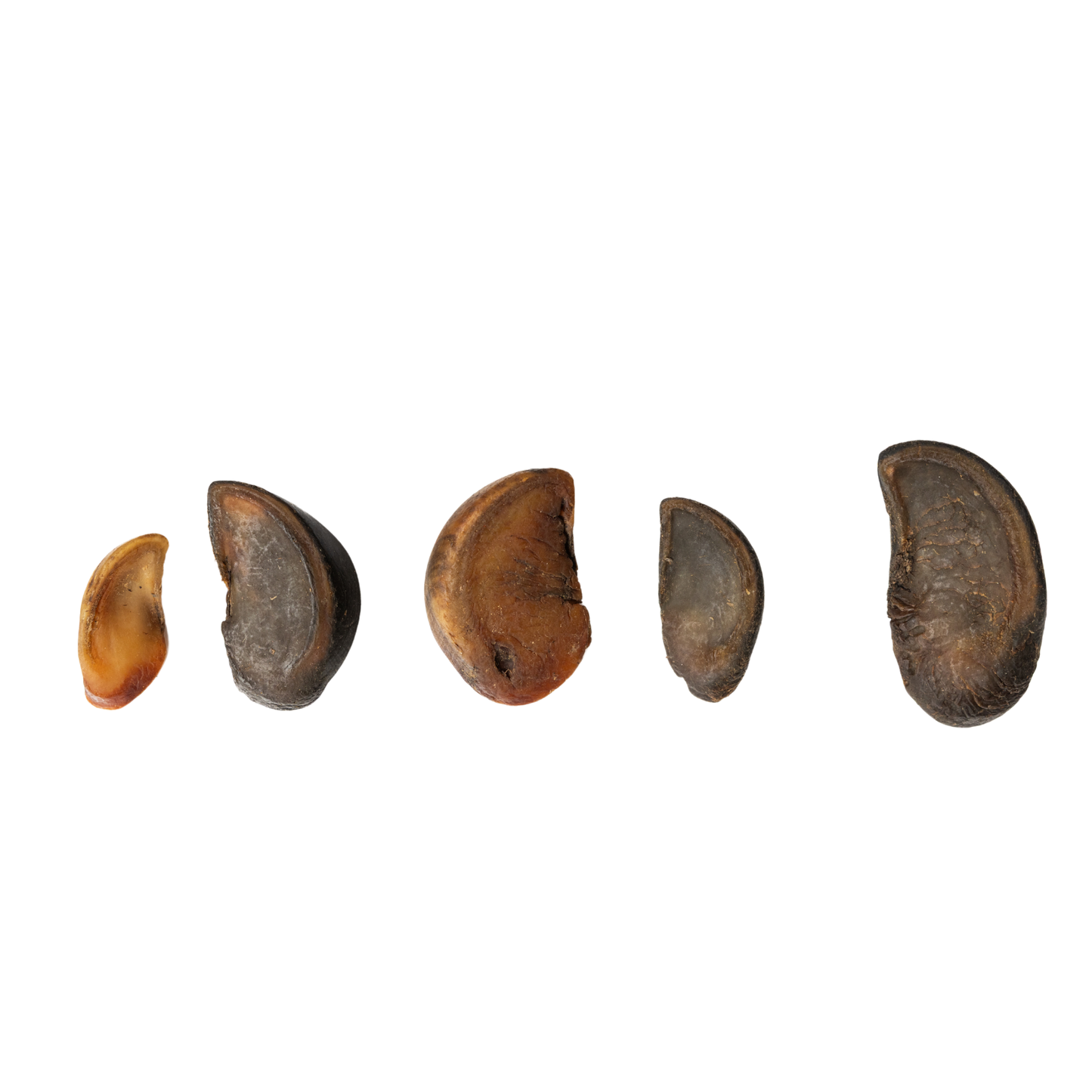 All-Natural Cow Hooves Dog Chews – Premium Crunchy Treats for Dental Health – (25/Case)