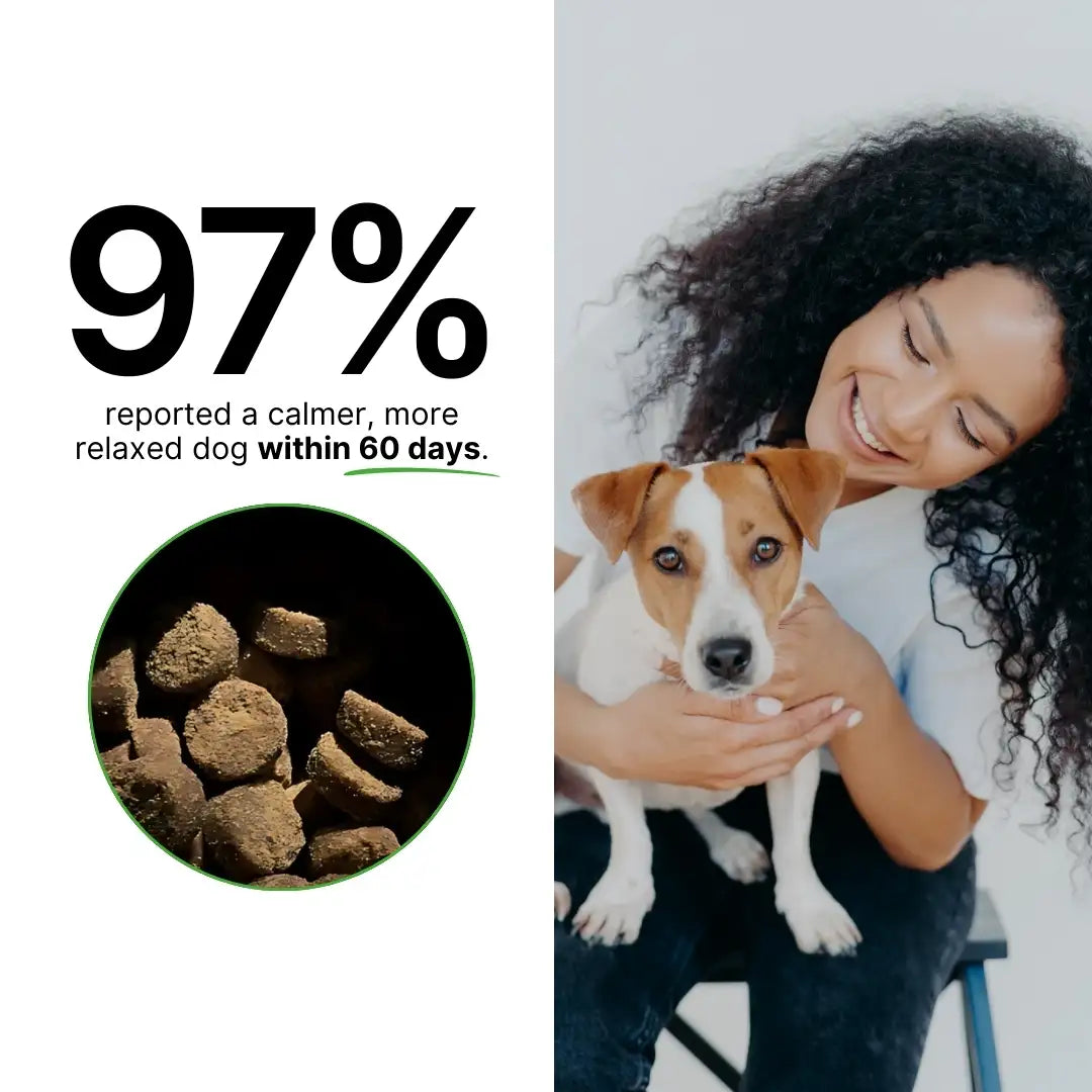 Calming Support With Hemp For Dogs 9oz Jar (120 Count)