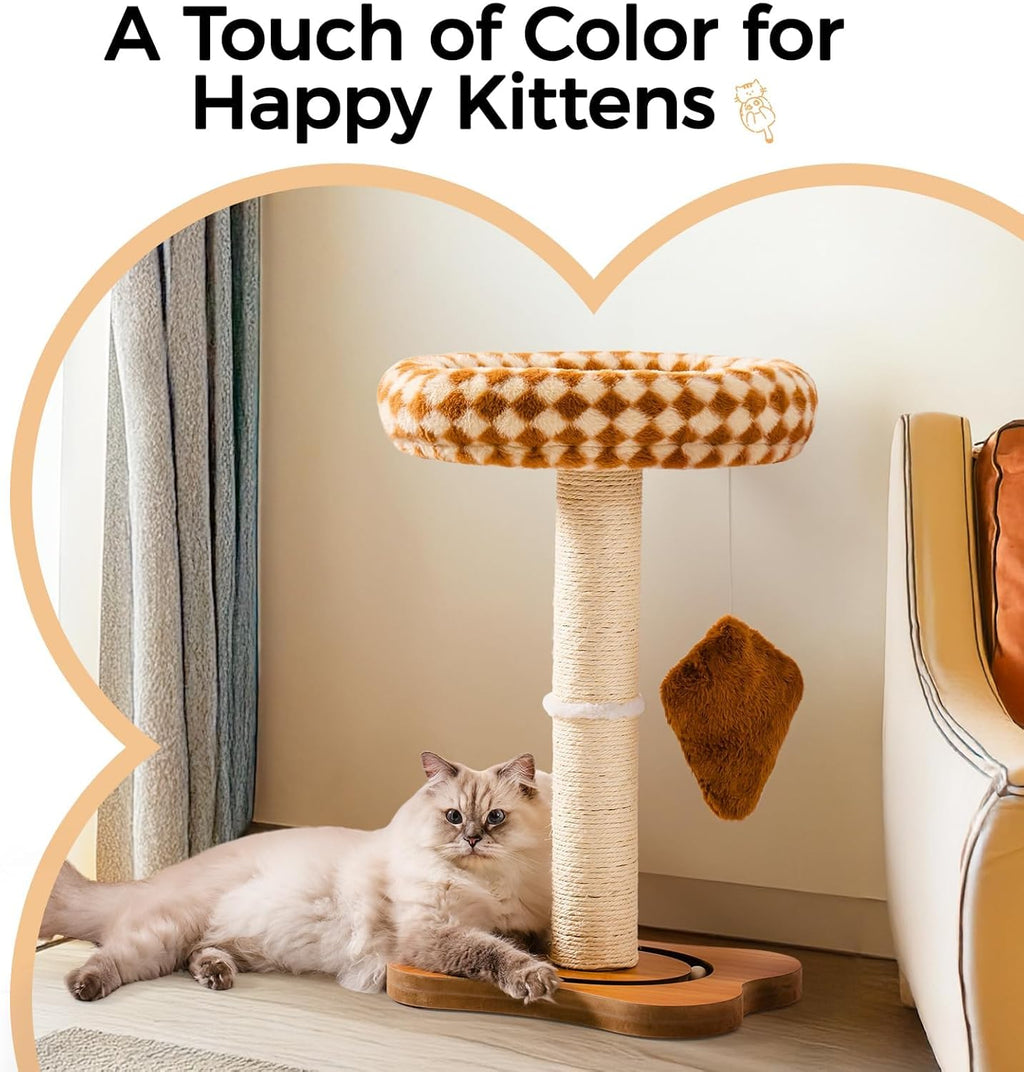 Cat Scratching Post with Bed, Sisal Scratcher