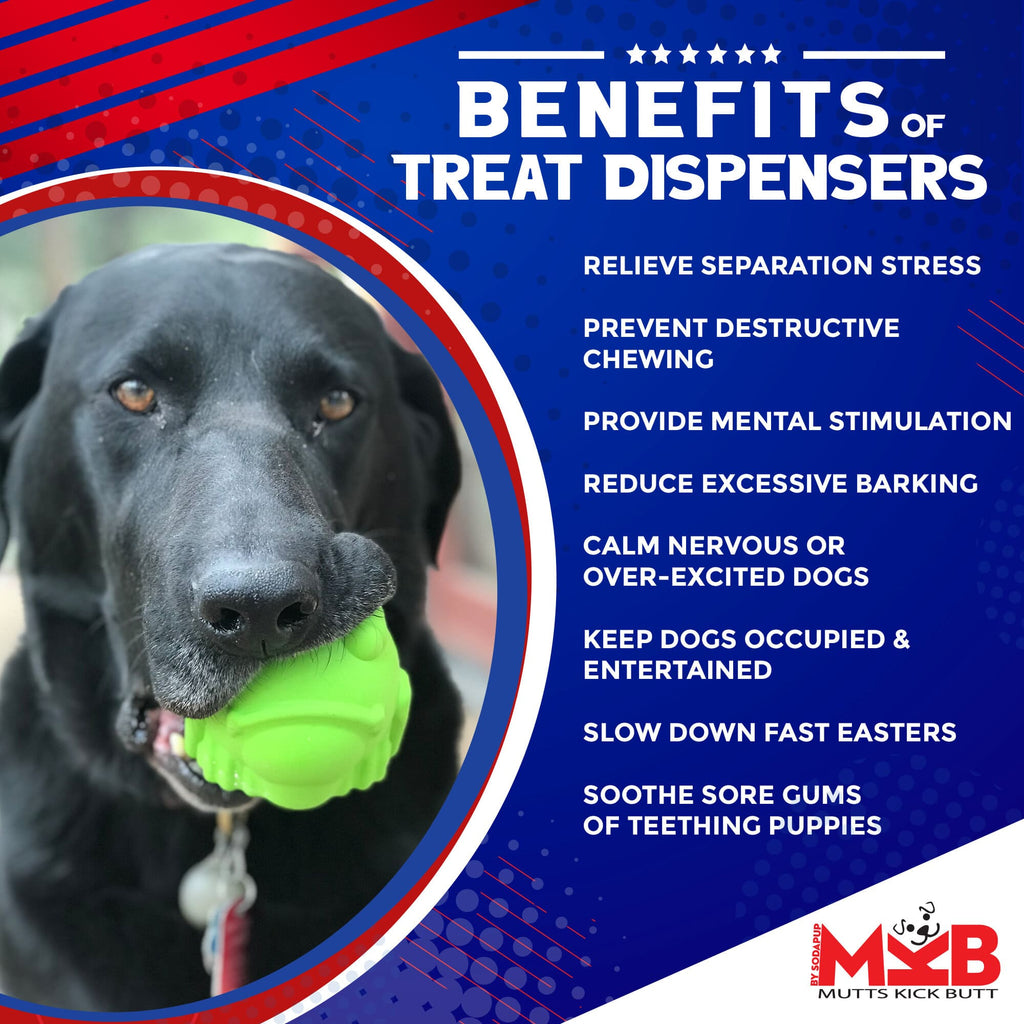 Bull Frog Dog Chew Toy & Treat Dispenser - USA Made | SodaPup