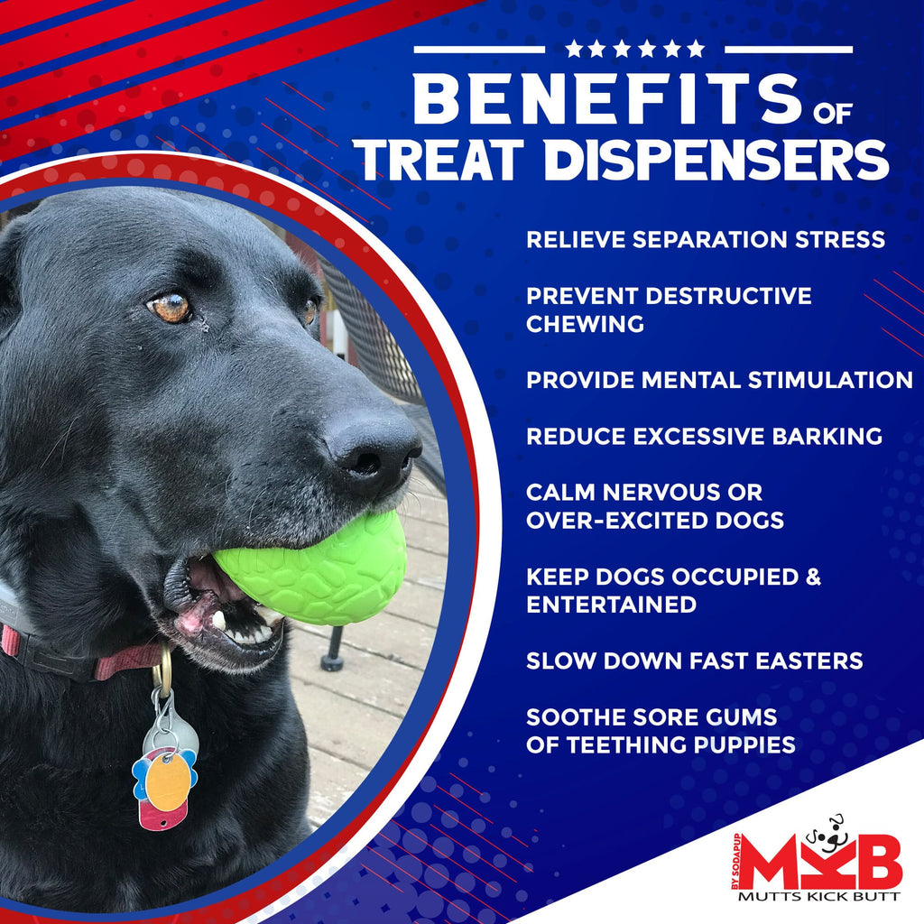 Dinosaur Egg Dog Chew Toy & Treat Dispenser - USA Made | SodaPup