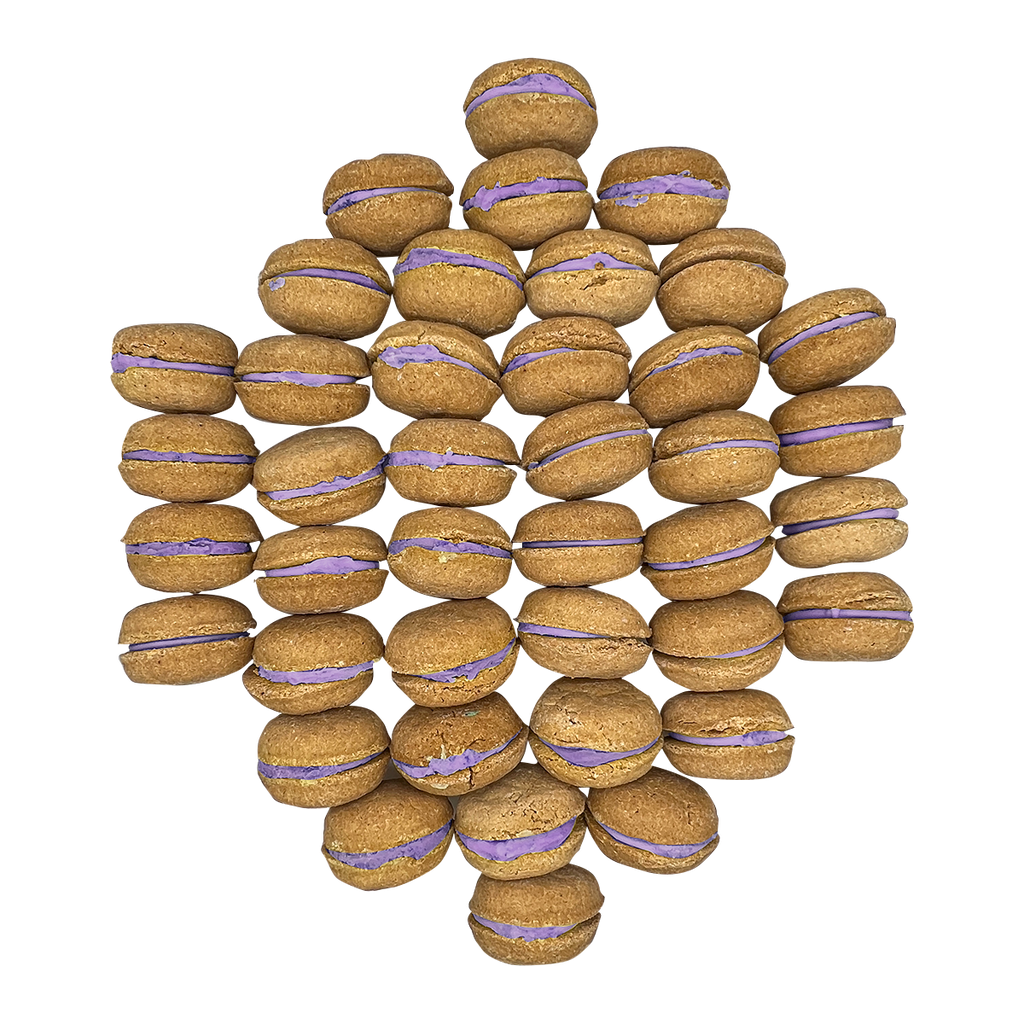 40 Count Dog Macaron Treats Gift Box