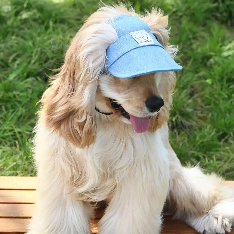 Pet Outdoor Embroidered Cartoon Sunshade Hat