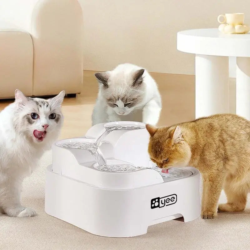 Pet Water Fountain With Filtration System