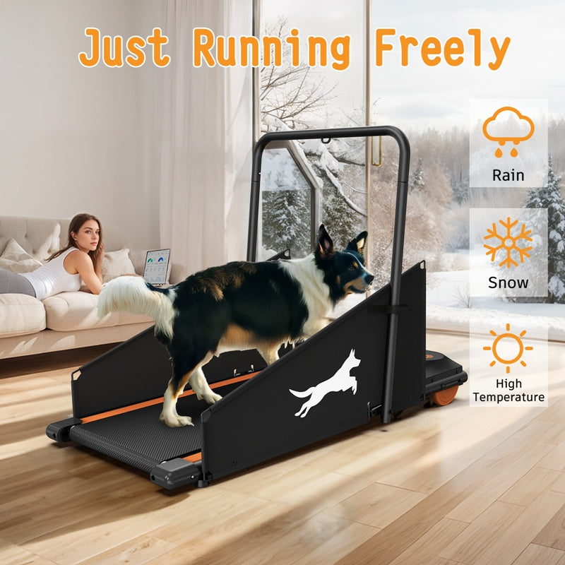 Dog Treadmill and Pacer For Healthy & Fit Pets