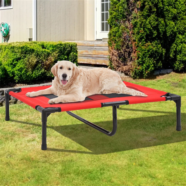 indoor/outdoor elevated Pet Bed