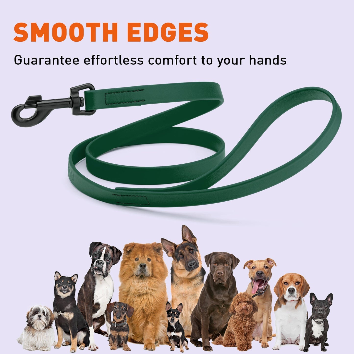 Biothane Waterproof Dog Leash 6 ft